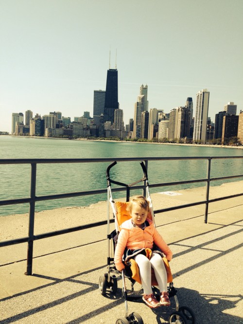 chicagoskylinephoto 5