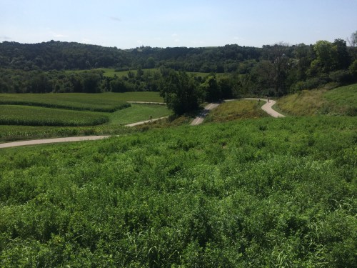 Trout run trail, Decorah 