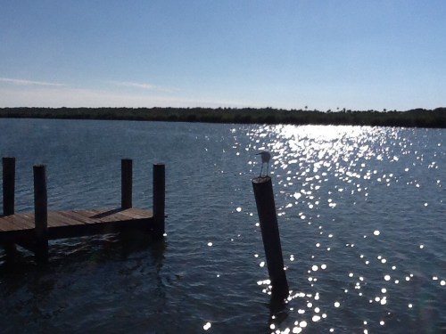 View from JB's FIsh C amp