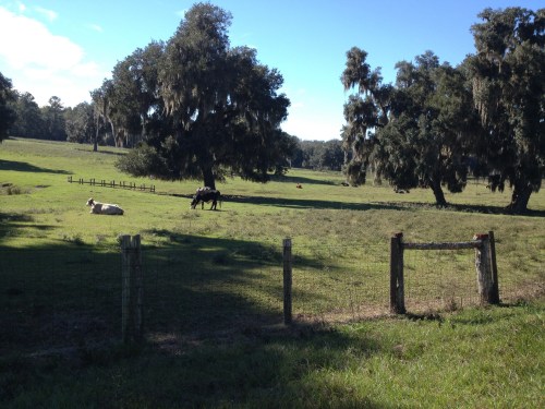 New England in central Florida